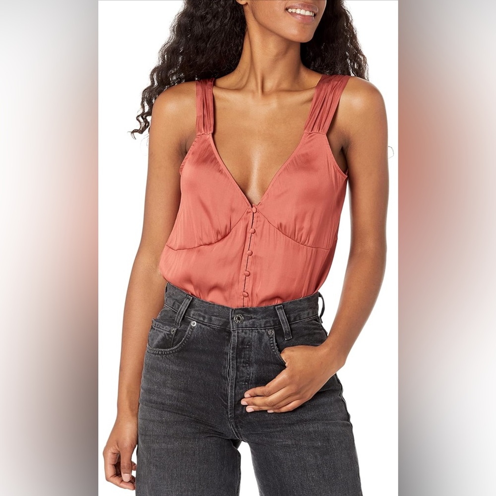 Paige Kessley V-Neckline Sleeveless Thong Bodysuit in Muted Clay Sz M